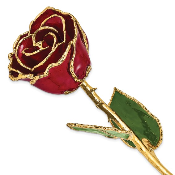 24K Gold Platted Real Rose Color Red