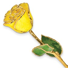 Yellow Lacquer Dipped Gold Trimmed with Glitter on yellow  Real Rose