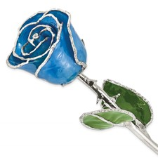 Dipped in Platinum Flower blue