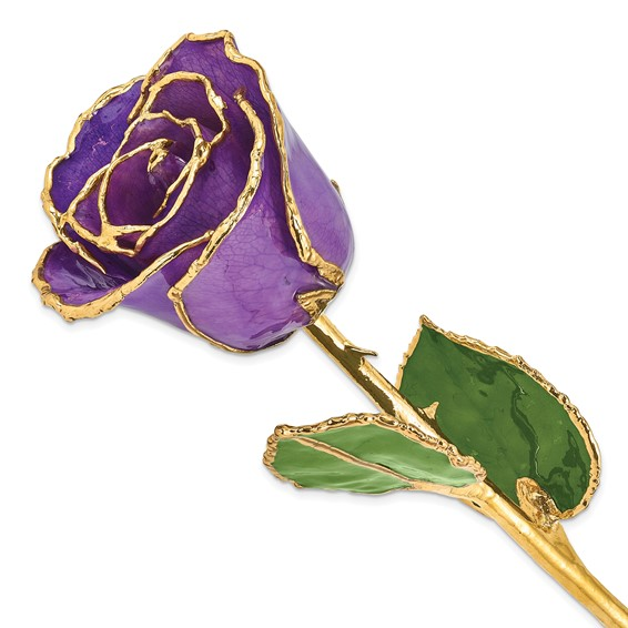 Lilac Lacquer Dipped Gold Trimmed  Yellow Real Rose Lilac