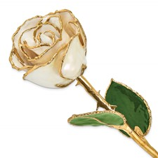Lacquer Dipped Gold Trimmed White Satin Rose