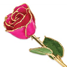 Lacquer Dipped Gold Trimmed Lilac Pink Rose Real Rose